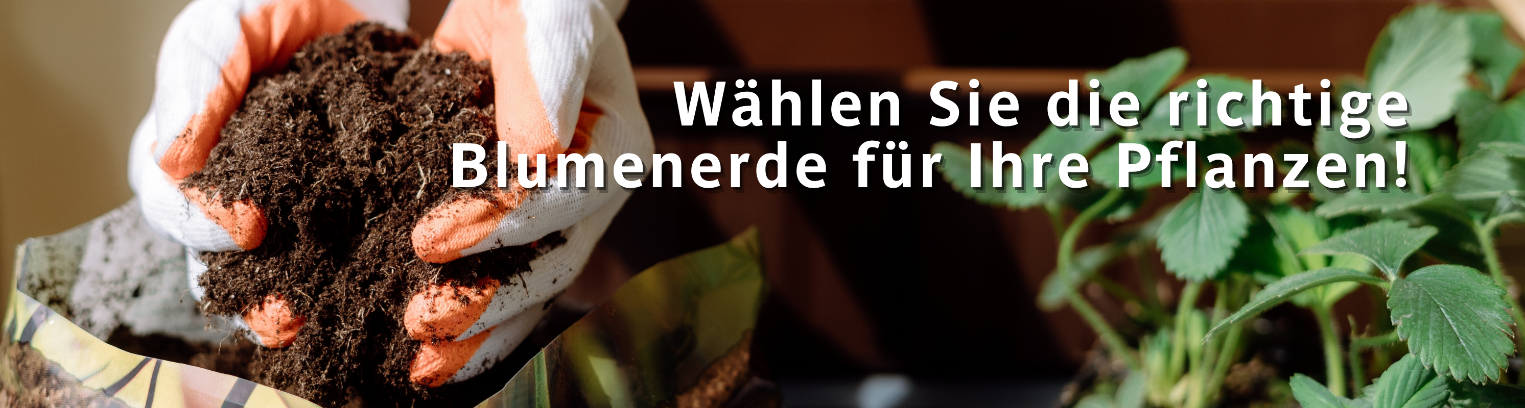 Entdecken Sie unser umfangreiches Sortiment an Blumenerde