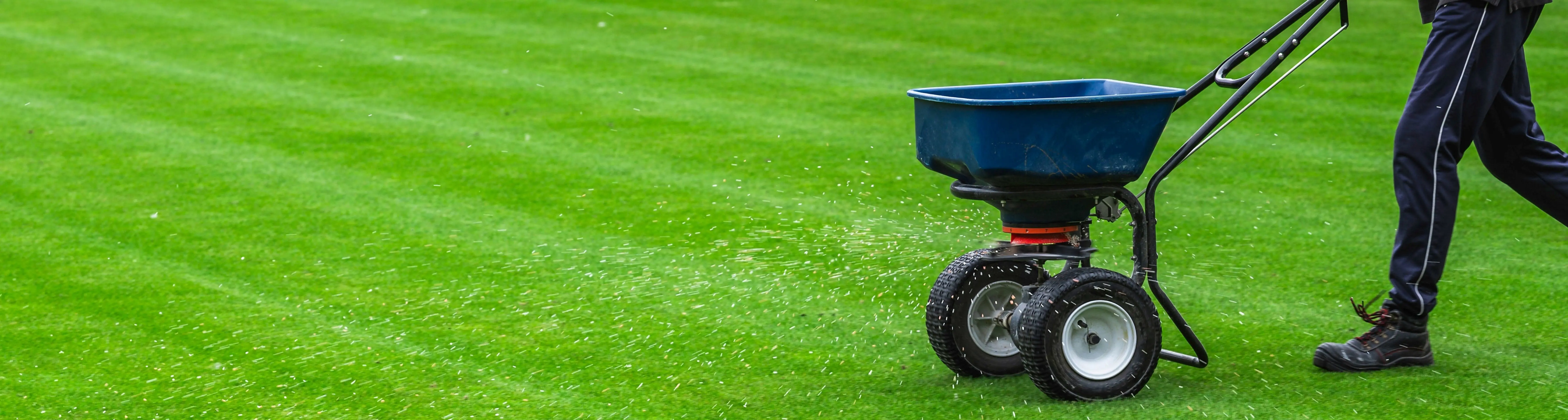 Entretien printanier : votre gazon au top !