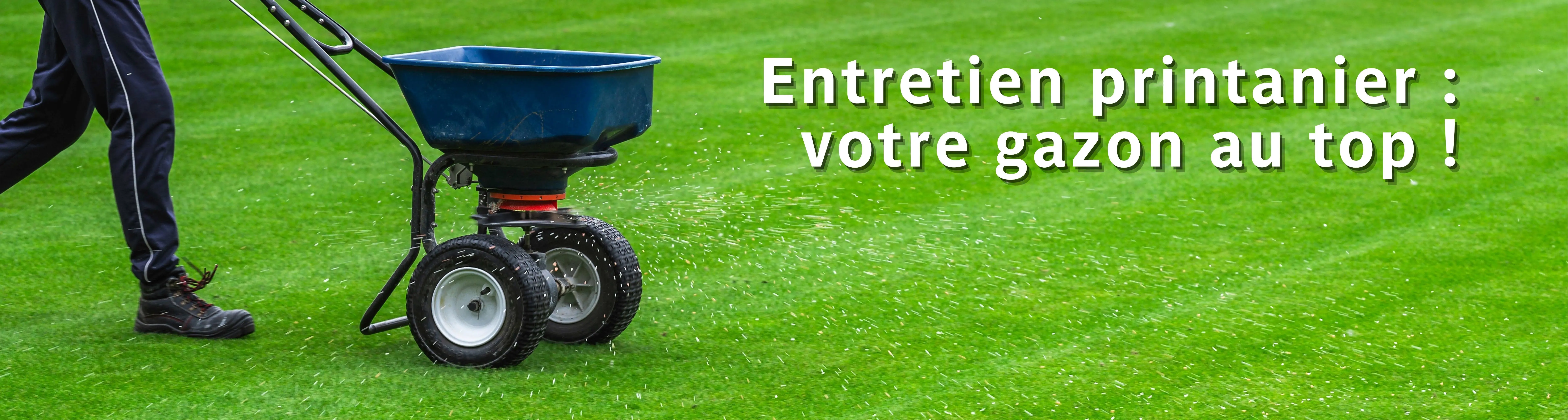 Découvrez notre large assortiment pour l’entretien du gazon