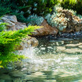 6 conseils pour préserver votre étang en cas de fortes chaleurs