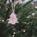 Comment éviter la chute des aiguilles du sapin de Noël?