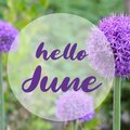 Juin, nouveau mois et de nouvelles tâches au jardin