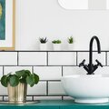 Quelles plantes choisir pour décorer la salle de bain?