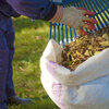 Comment réaliser son compost de feuilles mortes?