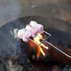 les broches pour marshmallows