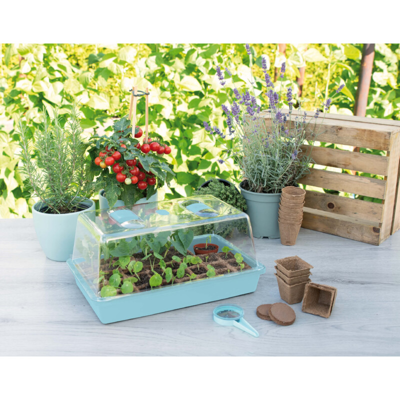 Kweekkas 38x24 cm – Tuingereedschap voor tuinonderhoud - 0 - 1