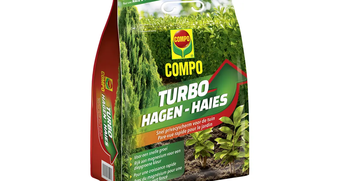 plastik zimmerpflanzen groß Große Yucca Palme kaufen – Green Me Up main image 1