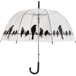 Parapluie transparent avec des oiseaux sur un fil