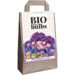 Sachet de bulbes de fleurs pour abeilles - bio flowerbulbs (40 pièces)