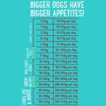 Nourriture au chevreuil et canard frais pour chiens adultes - Edgard & Cooper 12 kg