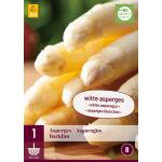 Asparagus Backlim - Asperges blanches (1 pièces)