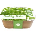 Box Healthy Herb - persil