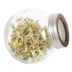 Germoir Organic sprouting - mélange de salades BIO