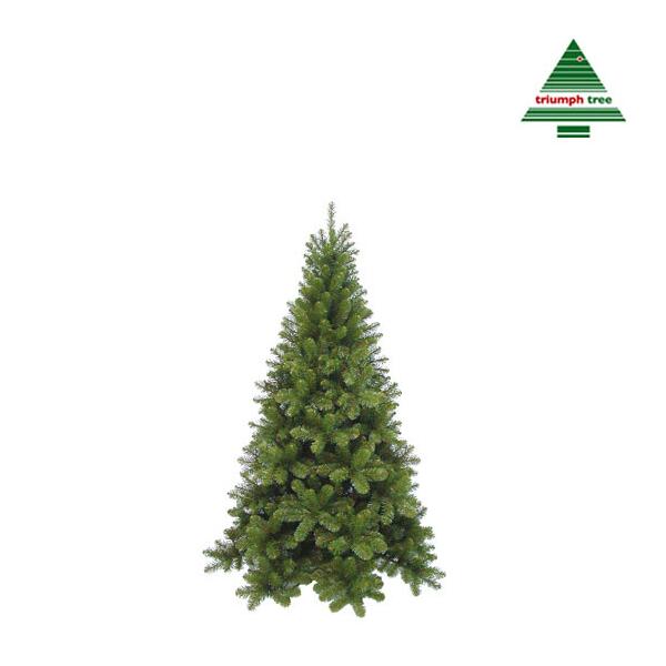 Sapin de Noël Tuscan vert 155 cm - triumph tree - Webshop - Matelma