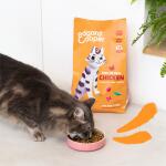 Edgar & Cooper Nourriture pour chats adultes au poulet frais - 2 kg