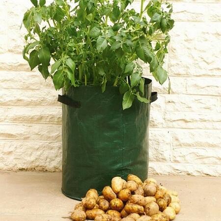 maoxiaohaier Kartoffel-Pflanzbeutel grüne Vlies-Pflanzbeutel für Tomaten 34 x 35 cm Erdnüsse usw. 2 Stück Zwiebeln atmungsaktives Loch Karotten 