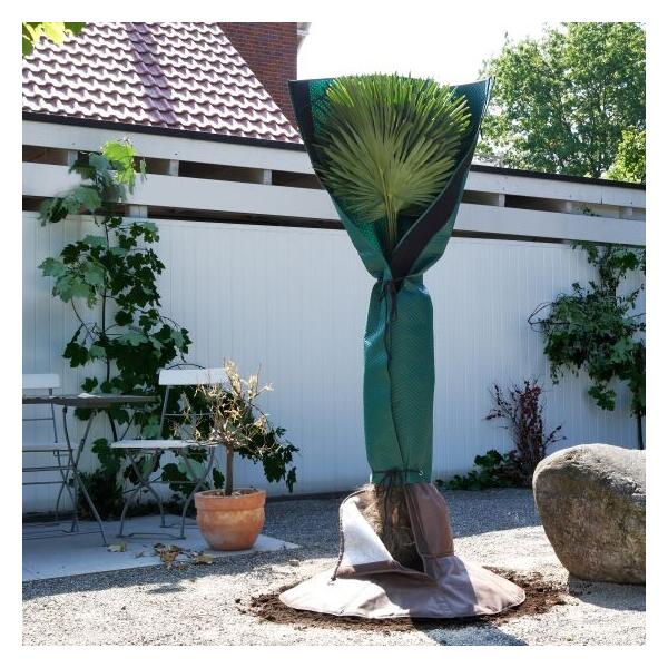 Garden Tailor Voile d'hivernage Plante Housses Protection: 70g/m² 120 cm x  180 cm avec Fermeture éclair pour Plantes Palmiers en Pot d'olivier