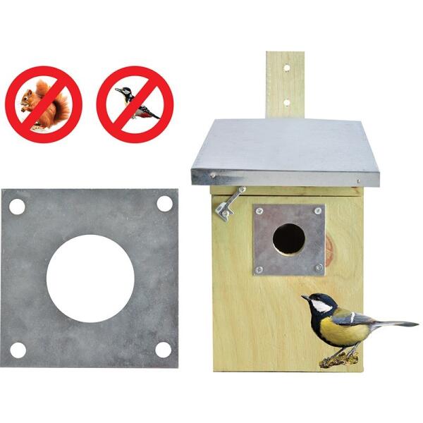 Protection des nichoirs contre les prédateurs - Oiseaux et