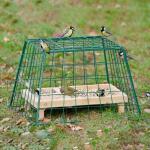 Cage de protection pour petits oiseaux du jardin