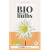 Dahlia bio 'My Love' - bio flowerbulbs