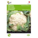 Chou Fleur Walcheren Winter 5 - Brassica oleracea
