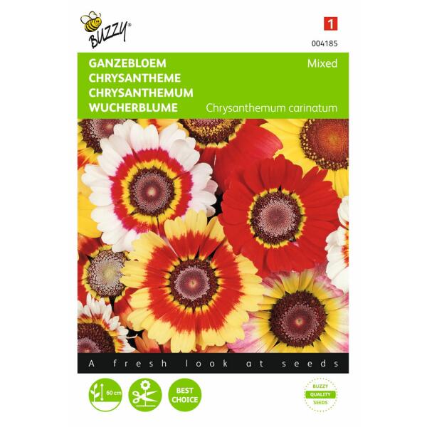 80 Samen 5091 ca Chrysanthemum carinatum Wucherblume Mischung 