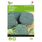 Chou Brocoli Calabrese natalino, vert - Brassica oleracea