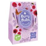 Buzzy Bulbs bulbes de fleurs pour abeilles - mauve/violet - 1 m²