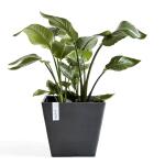 ECOPOTS Rotterdam - Anthrazit 40 cm