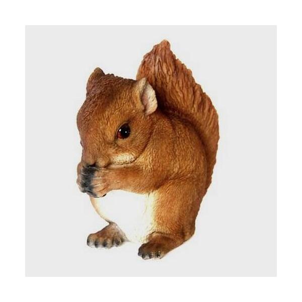 Ecureuil avec noix - Webshop - Matelma