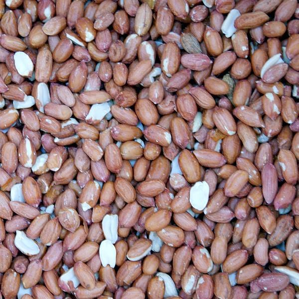 Cacahuètes décortiquées Peeled peanuts Versele-Laga oiseaux du ciel
