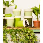Etiquettes pour plantes dans des teintes vertes