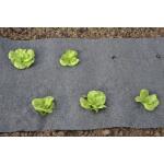 Toile de sol avec ouverture pour les salades et les haricots - 60 cm x 5 m