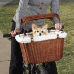 Panier pour chien pour vélo