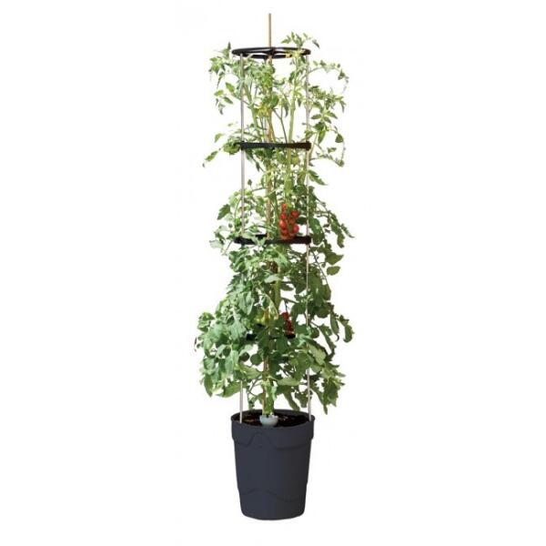Pergola Aluminium de Jardin pour Plantes Grimpantes – Pots de Fleurs and Co