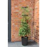 Tomatenturm 150 cm mit Bewässerungssystem - grau