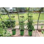 Tour pour plantes grimpantes avec système d'arrosage - vert