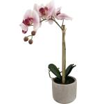 Orchidée synthétique 1 branche - blanc/rose