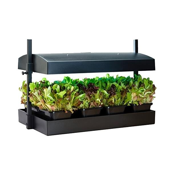 Kit de serre 6 m² avec bacs à plante intégrés- qualité pro à monter  soi-même 