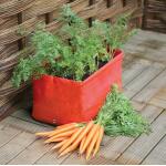 Sac de culture pour carottes 45 x 30 x 30 cm