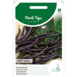 Haricots nains Purple Queen 100 g