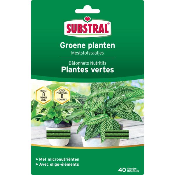 1L Engrais Bio Plantes Vertes - Intérieur et Extérieur - Feuilles