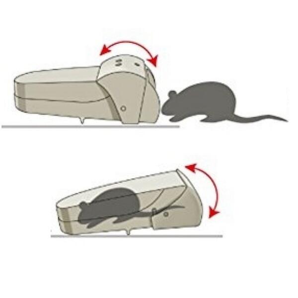 Pack KB Home Defense - Pièges et appâts pour rats et souris