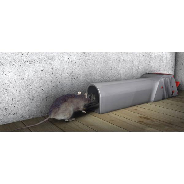 TOMORIN mort-aux-rats 100 g