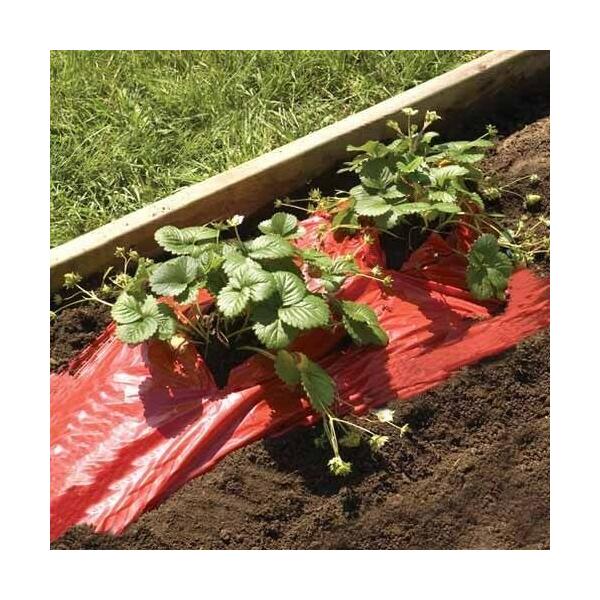 Bâche de paillage rouge - fraises et tomates - Webshop - Matelma