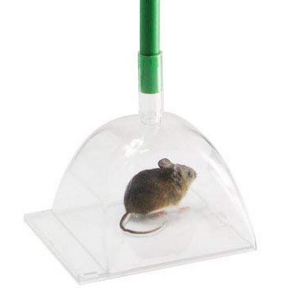 Piège pour capturer les souris vivantes - Webshop - Matelma