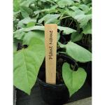 Etiquettes en bois pour plantes - 15 cm (10 pièces)