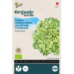 Laitue Green Salad Bowl BIO