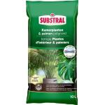 Terreau pour plantes d'intérieur et palmiers - 10 litres