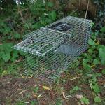 Cage de capture professionnelle pour lapins, chats sauvages...